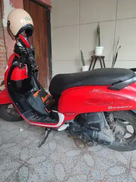 Scoopy murah pajak hidup