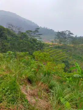 Jual tanah cepat lokasi dekat kaki gunung