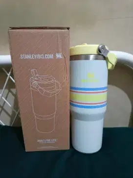 Tumbler Stanley
