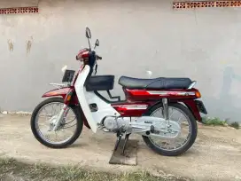 Astrea asli Bulus pjk on