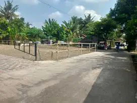 Tanah Dekat Pemda Sleman, 200 Jt-an