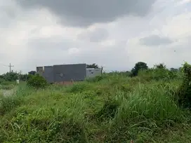 Tanah Murah dan Bebas Banjir di Landungsari Dekat Pondok Thursina