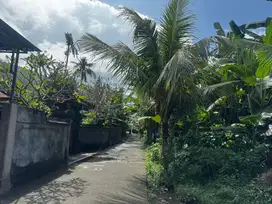 Tanah 1855 m2 Jalan Batu Lempeh, Klungkung. Dekat Obyek wisata Goa Law