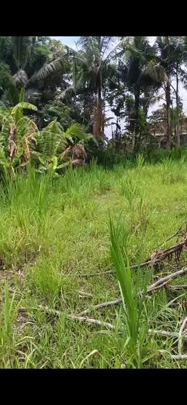 Land for sale  pinggir jalan .38 are hanya 10  menit ke ubud kota