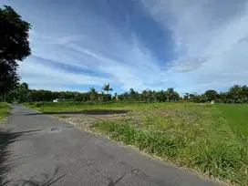 Tanah Murah Jogja SHM P Siap Bangun Kaliurang Sleman