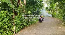 Disewakan Tanah Murah Luas 2000 m2 View Jugle di Tegallalang Ubud