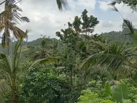 Dijual tanah kebun los sungai murah di desa wanagiri,kec selemadeg Tab