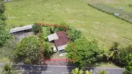Dijual tanah premium dekat pantai di selemadeg barat Tabanan bali