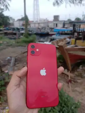 iPhone 11 256 gb