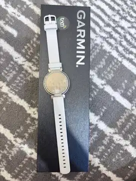 Garmin Lily 2 Classic
