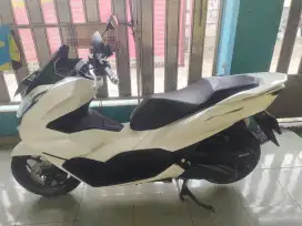 Pcx putih 2023 CBS