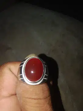 Batu akik darah red raflesia