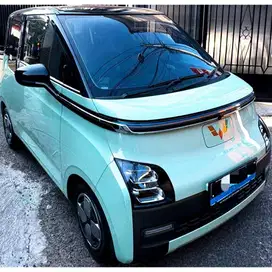 Wuling Air EV Long Range 300 KM Binguo Cloud Pro Atto 1 byd 3 dolphin