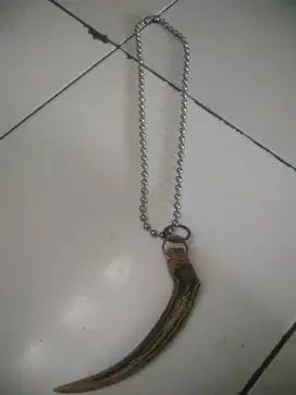 Kalung titatium