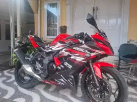 Kawasaki Ninja Mono