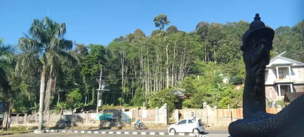 Tanah Kebun 4000m²
