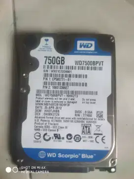 HDD 750 Gb.    WD.