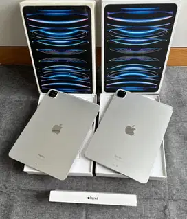 Ipad Pro M2 256GB 11 inch wiFi super Mulus Like New