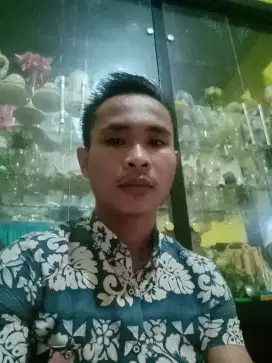 Office boy/cleaning service