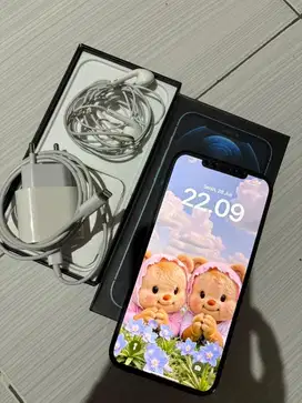 Iphone 12 Pro Max Ram 512 Warna Pacifik blue