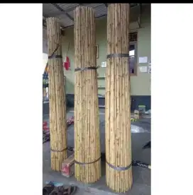 Batang bambu umbul umbul atau tiang pendera