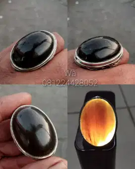 Batu Fosil Galih kelor