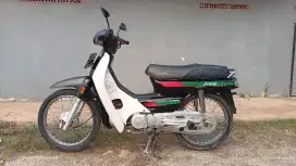 Astrea grand asli Bulus