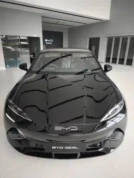 Seal Performance nik 2024