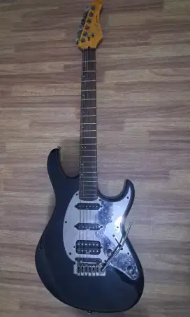 Gitar Cort G260B