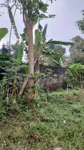 Jual Cepat Tanah SHM P di Pakem Sleman dekat Fasum