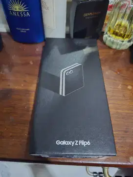 Samsung Galaxy Flip 6