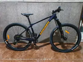 MTB DOMINATE CXC COMP CARBON 29er