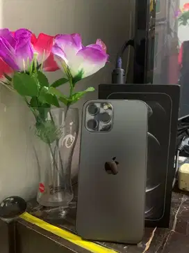 iphone 12 promax 256 ex inter