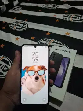 SAMSUNG A54 8/256