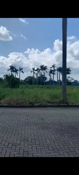 Dijual Lahan Strategis Buat Pabrik Gudang Bitung Cikupa Tangerang