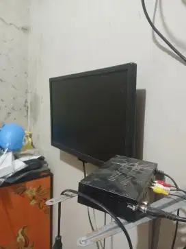 Weyon sakura 24 inch