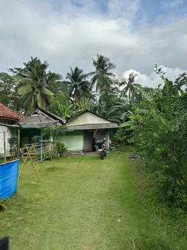 Jual Tanah 483 m2 di Desa Babakan Kec. Pangandaran.  Dekat Puskesmas