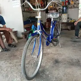 Sepeda mini ukuran 24
