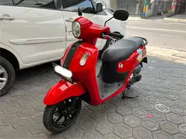 FAZZIO 2025 NIK 2024 HYBRID NEO NON LUX fazio