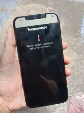 Iphone 12 pro max 256gb BU sampe besok