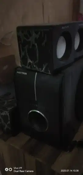 Polytron 5 speaker