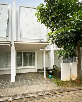 TERMURAH! Rumah Minimalis Furnish di Cluster Inspirahaus Tabebuya BSD