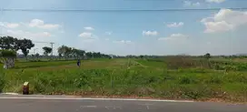 Tanah murah mangku Jalan Gedongan Tempel Sleman