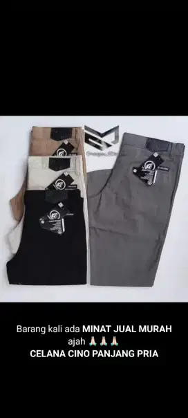 Celana chinos dn cargo