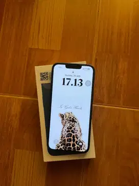 iphone 13 256gb