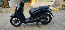 Honda scoopy 2016