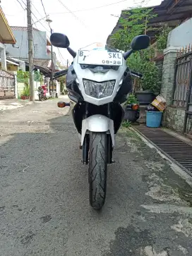 Kawasaki Ninja RR New SE 2013