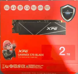 SSD XPG GAMMIX S70 BLADE 2 TB UNTUK LIKE NEW BARU SEHARI SALAH PILIH