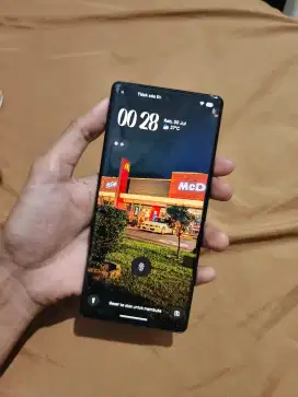 Google Pixel 6 Pro Global Version