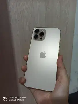 Jual cepat iphone 12 pm 256gb ibox